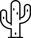 Allamanda